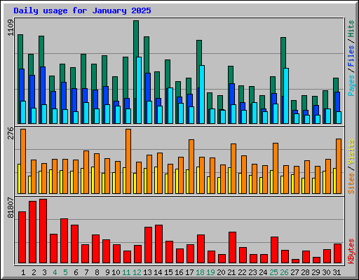Daily usage for January 2025