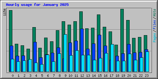 Hourly usage for January 2025
