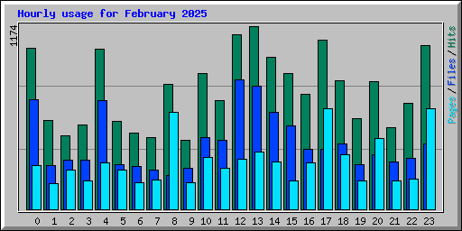 Hourly usage for February 2025