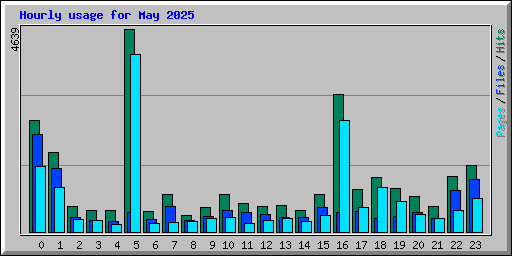 Hourly usage for May 2025