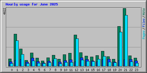Hourly usage for June 2025