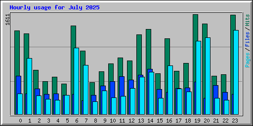Hourly usage for July 2025