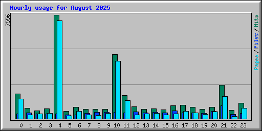 Hourly usage for August 2025