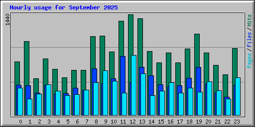 Hourly usage for September 2025