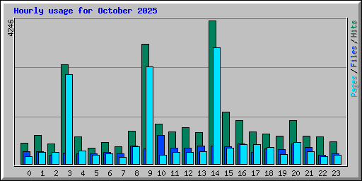 Hourly usage for October 2025