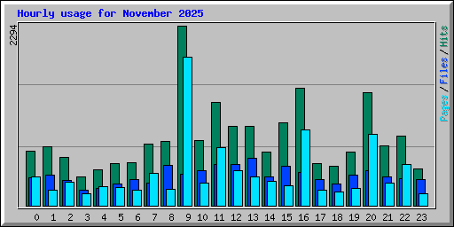 Hourly usage for November 2025