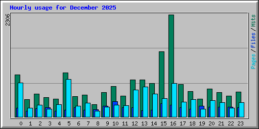 Hourly usage for December 2025