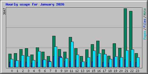 Hourly usage for January 2026