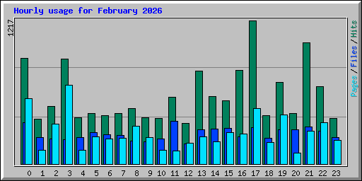 Hourly usage for February 2026